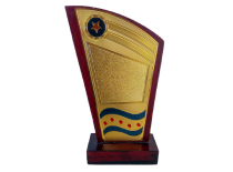 Image of Award First