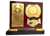 Image of Awards-3
