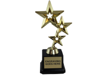 Image of Awards-5