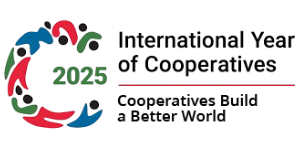 Digital India Icon